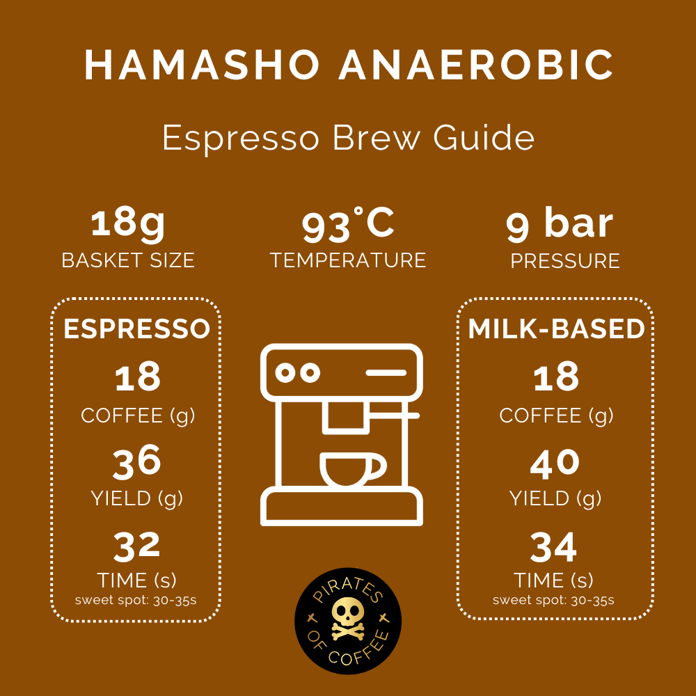 DAYE BENSA HAMASHO ANAEROBIC ESPRESSO: Ethiopia Anaerobic Natural