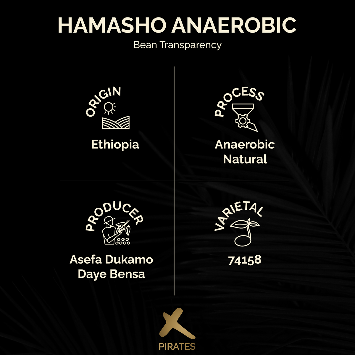 HAMASHO ANAEROBIC: Ethiopia Daye Bensa Anaerobic Natural