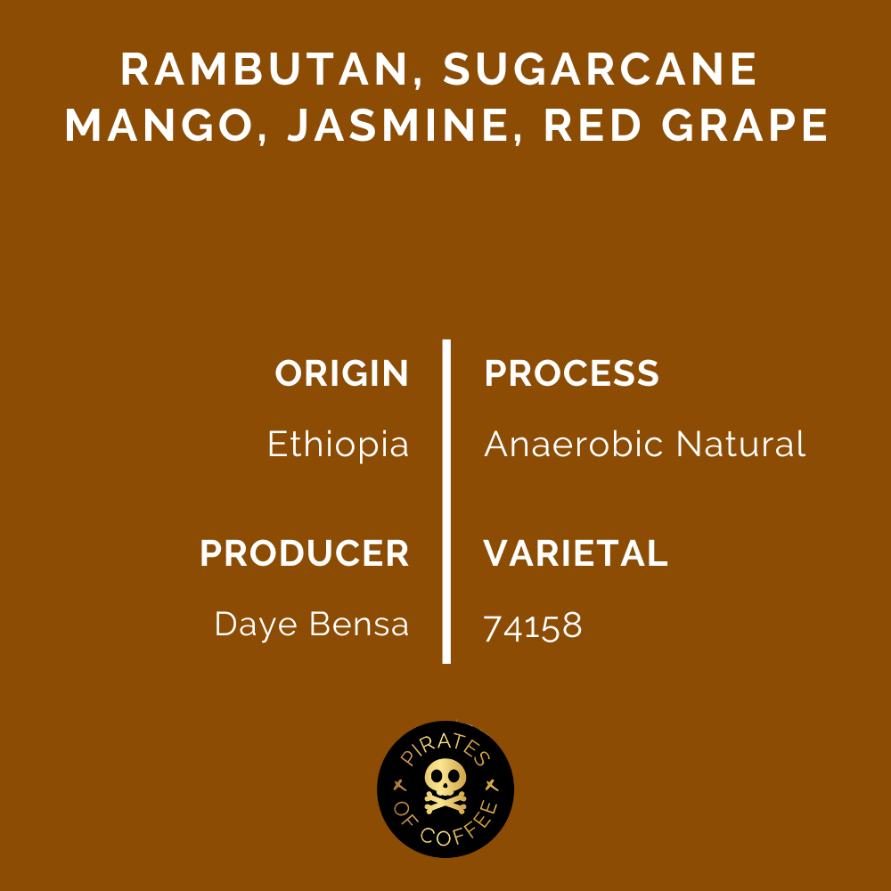 DAYE BENSA HAMASHO ANAEROBIC: Ethiopia Anaerobic Natural