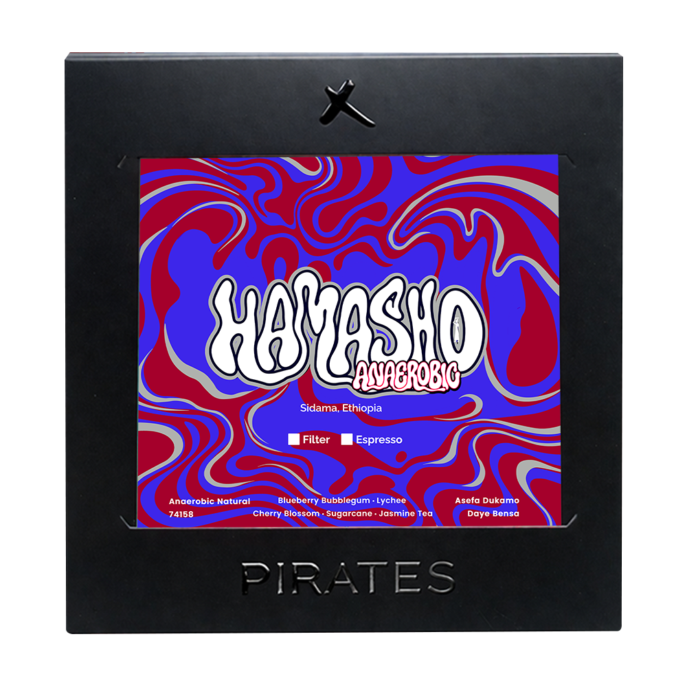 HAMASHO ANAEROBIC: Ethiopia Daye Bensa Anaerobic Natural