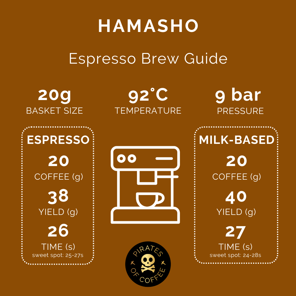 DAYE BENSA HAMASHO ESPRESSO: Ethiopia Natural