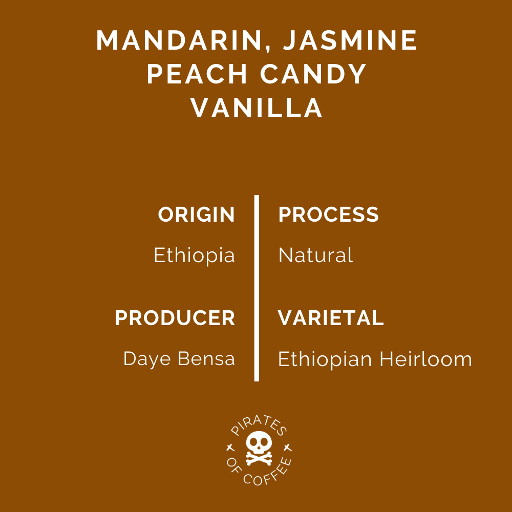 TREASURE OF HAMASHO ESPRESSO: Ethiopia Natural