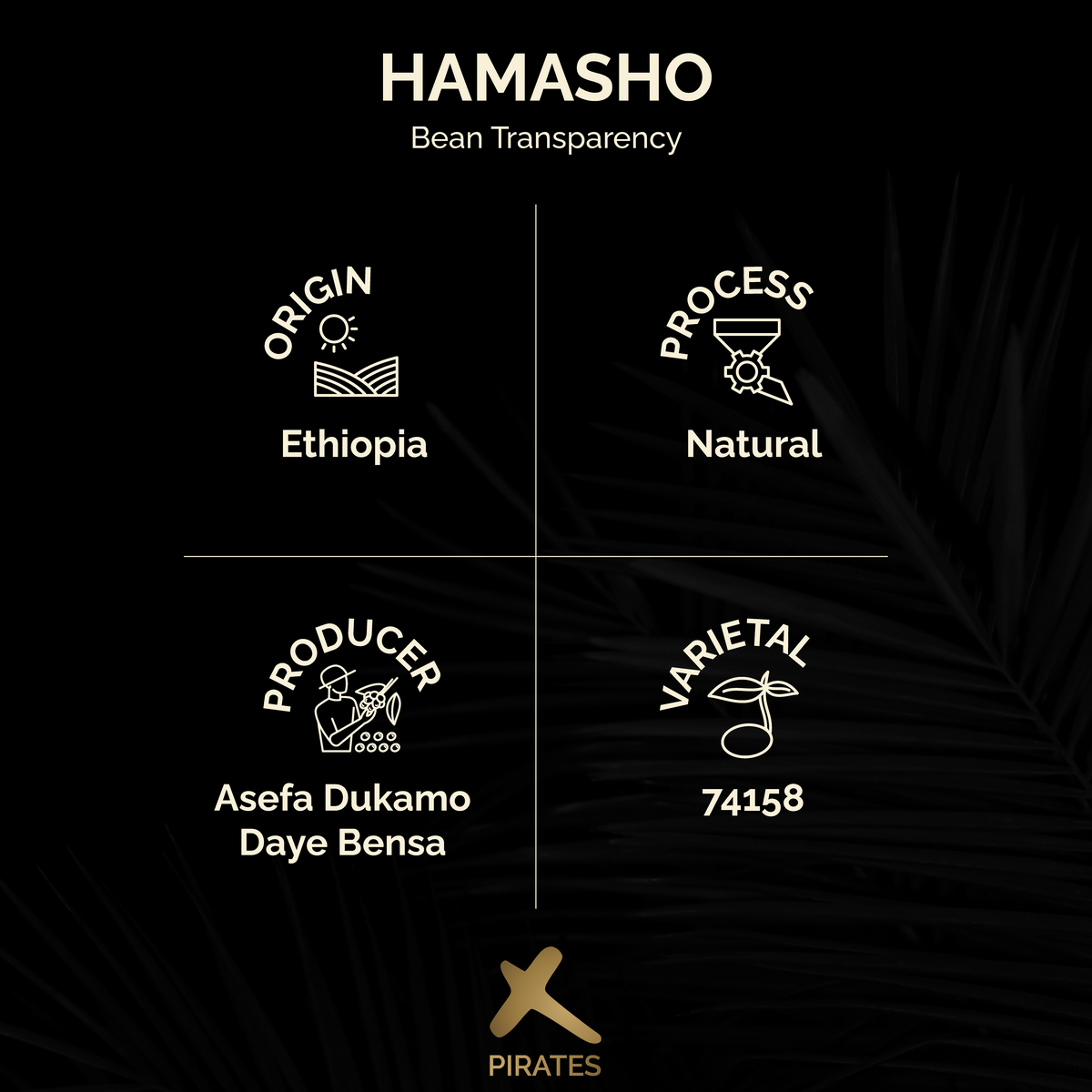 HAMASHO: Ethiopia Daye Bensa Natural