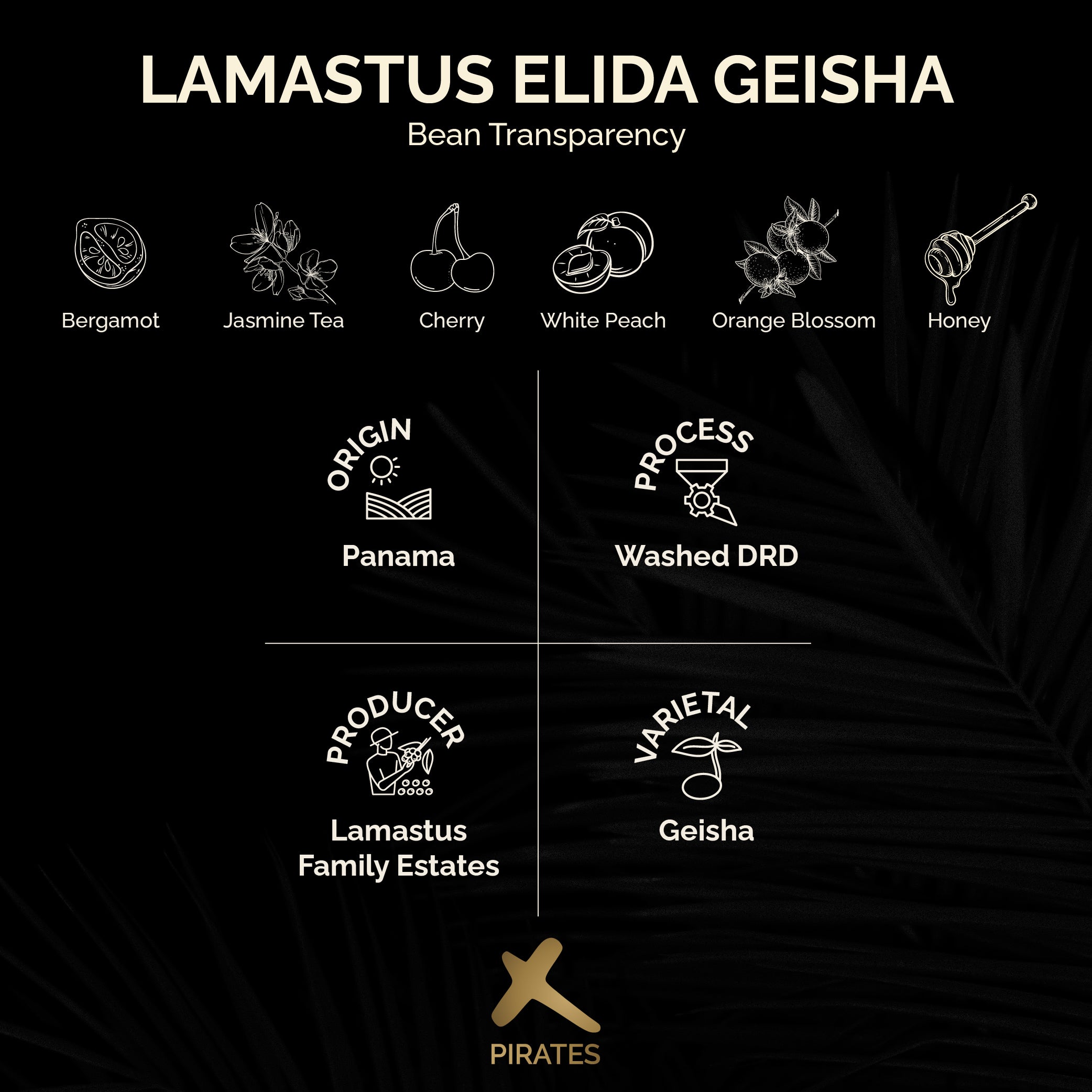 LAMASTUS ELIDA GEISHA: Panama Washed DRD