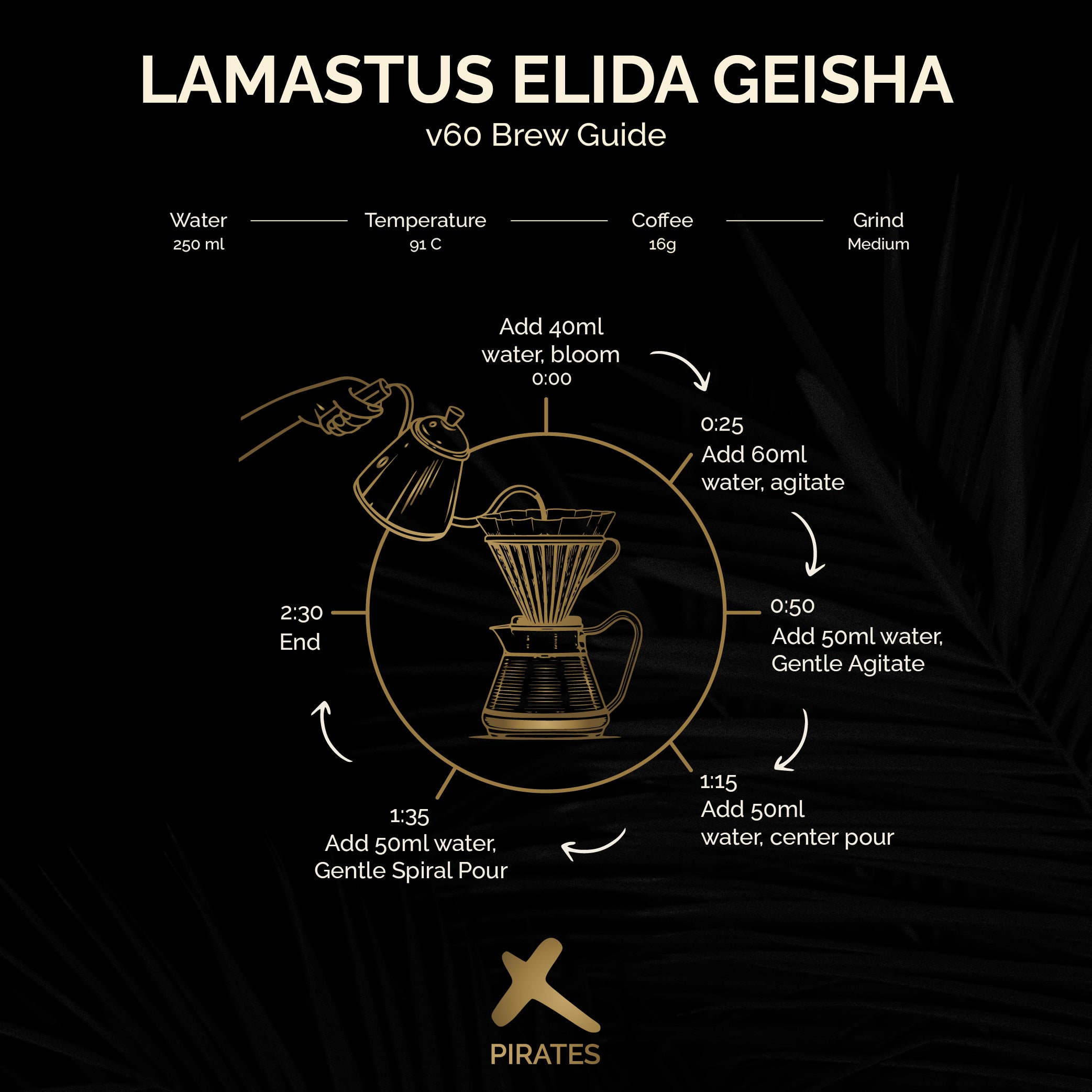 LAMASTUS ELIDA GEISHA: Panama Washed DRD