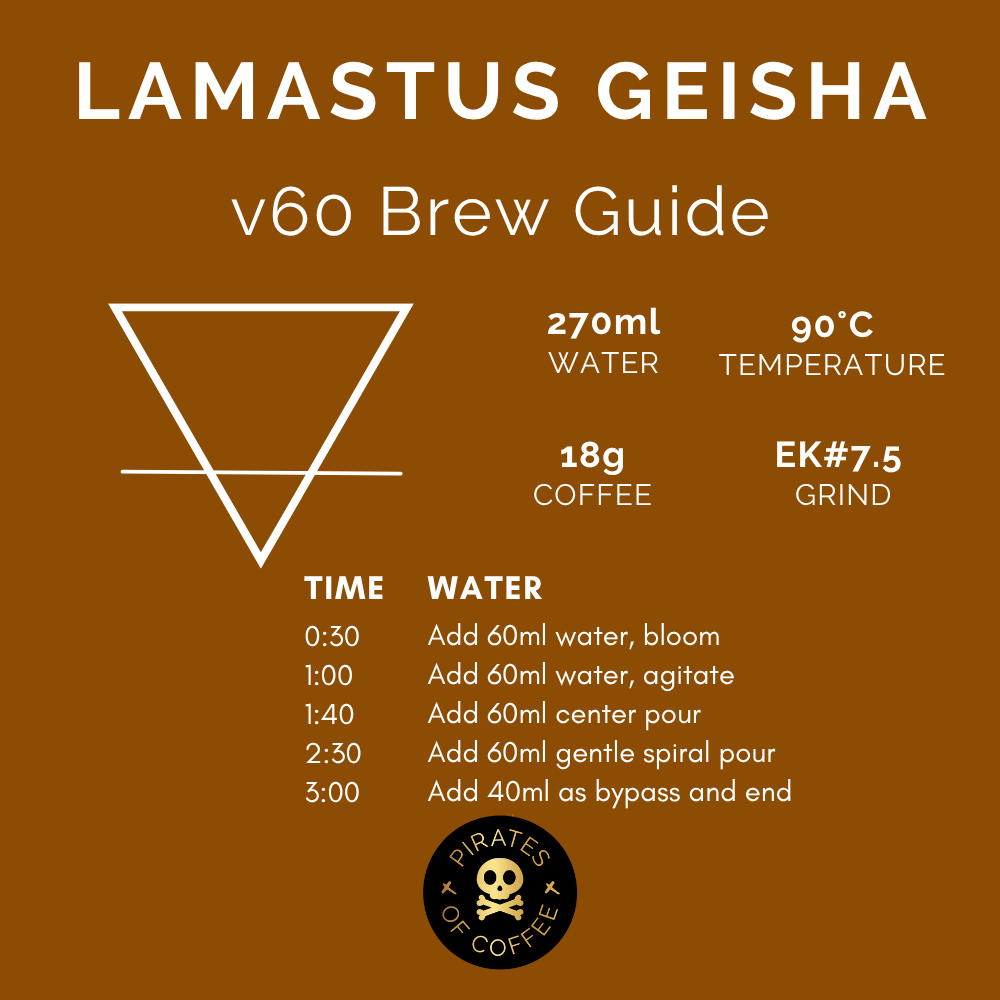LAMASTUS GEISHA LOT #16: Panama El Burro Natural