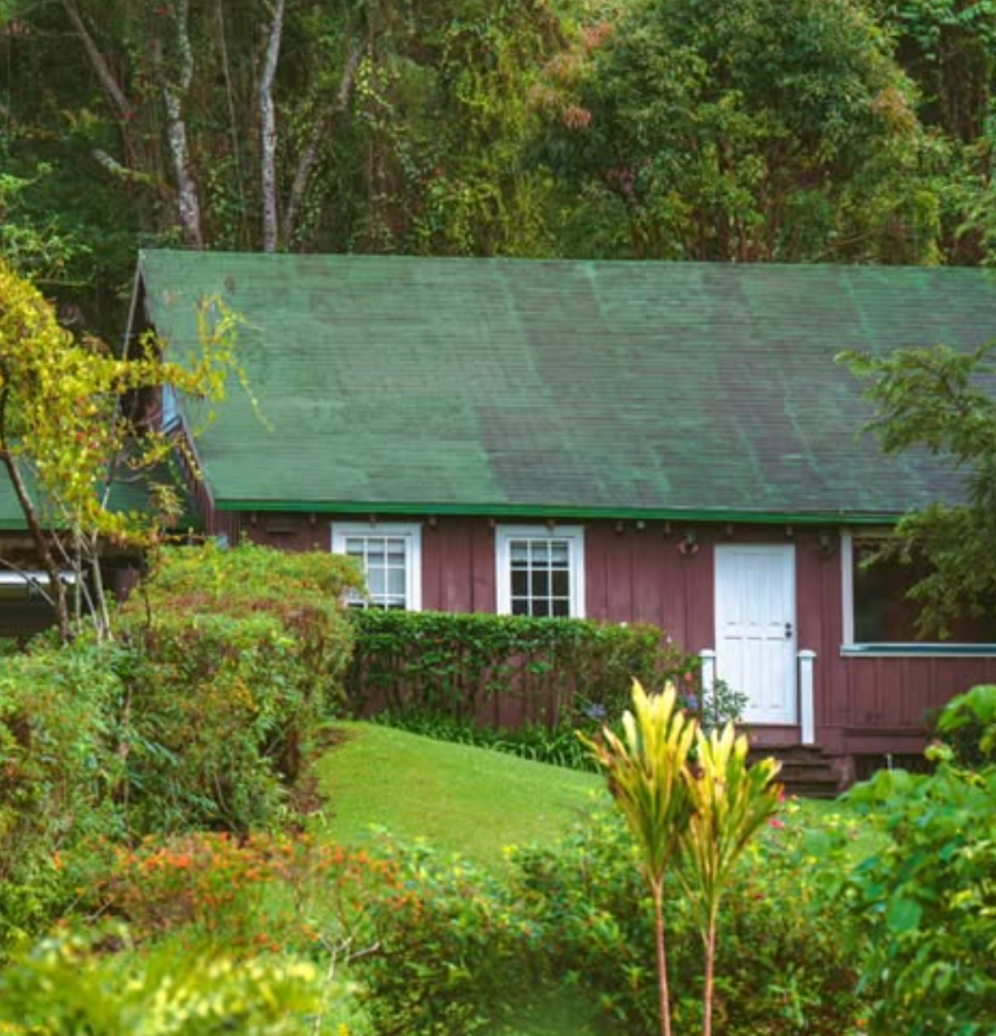 LERIDA GEISHA LOT #5: Panama Washed