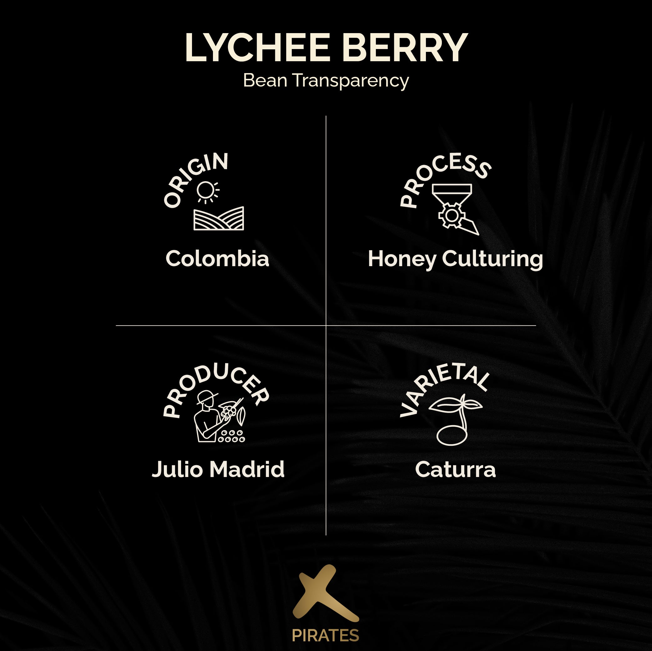 LYCHEEBERRY: Colombia Honey Culturing