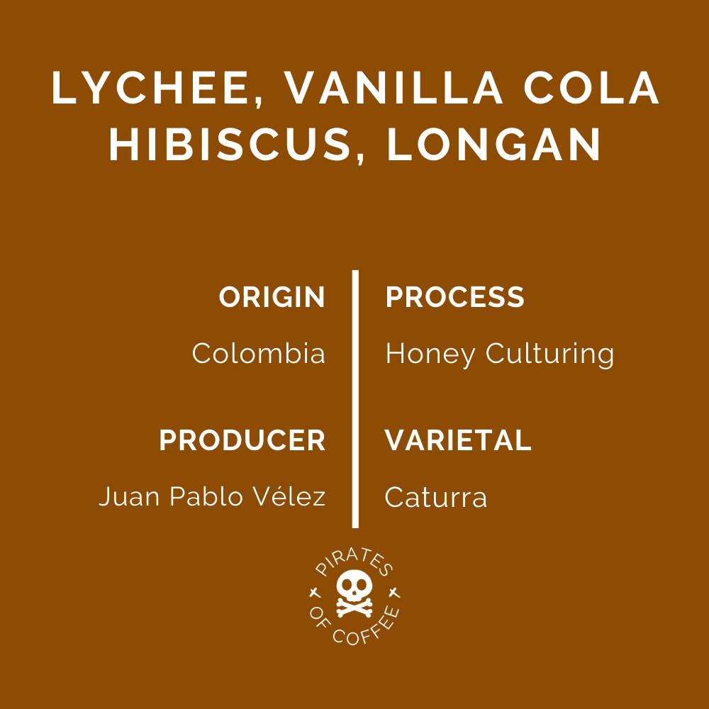 LYCHEE POP: Colombia Honey Culturing