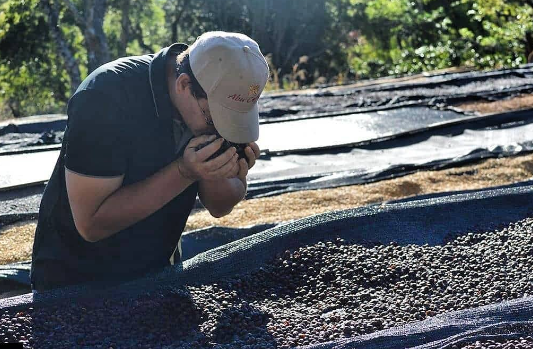 Abu M-9 Geisha: Panama Anaerobic Natural