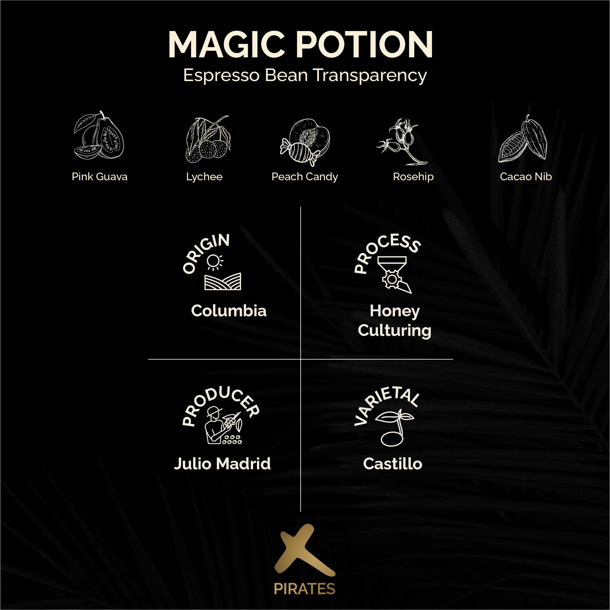 MAGIC POTION ESPRESSO: Colombia Honey Culturing