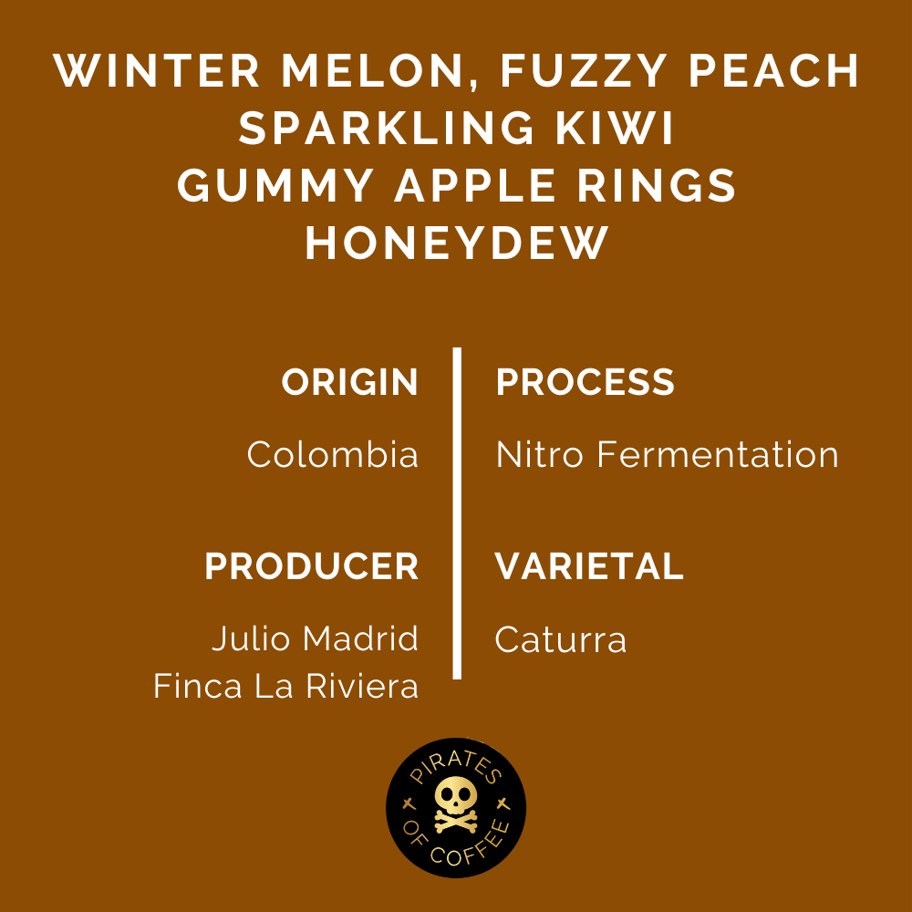 MELONFIZZ: Colombia Nitro Fermentation