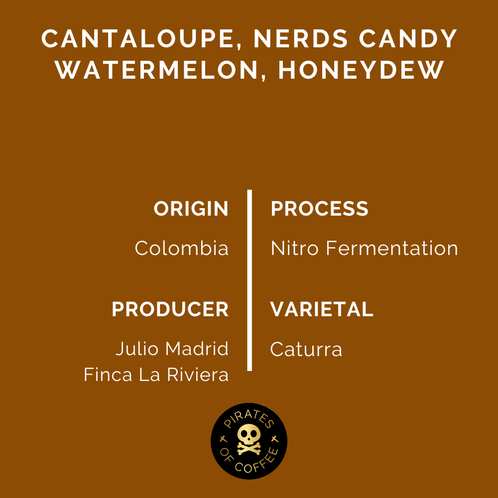 MELONHEAD NITRO: Colombia Nitro Fermentation