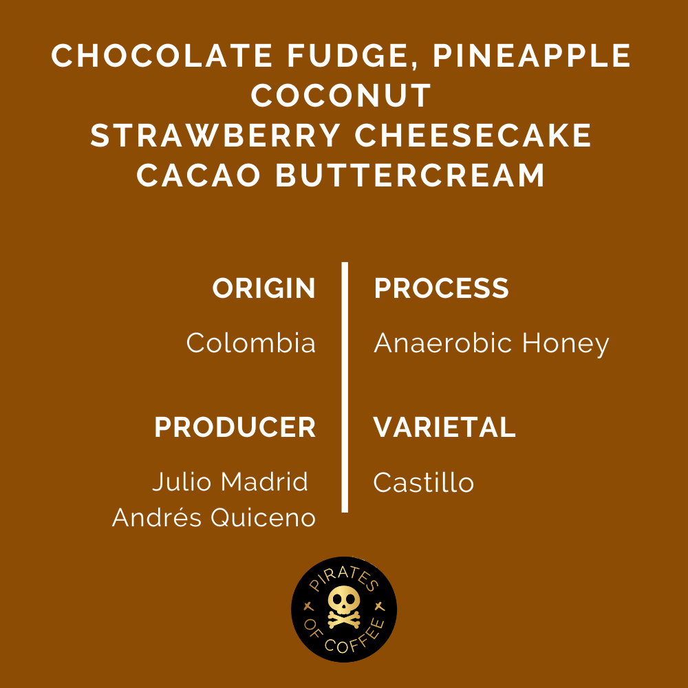 MUNCHIE ESPRESSO: Colombia Anaerobic Honey