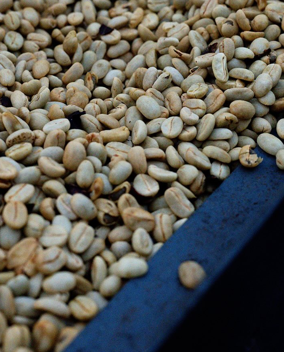 NIRVANA GEISHA: Nitrogen Macerated Natural
