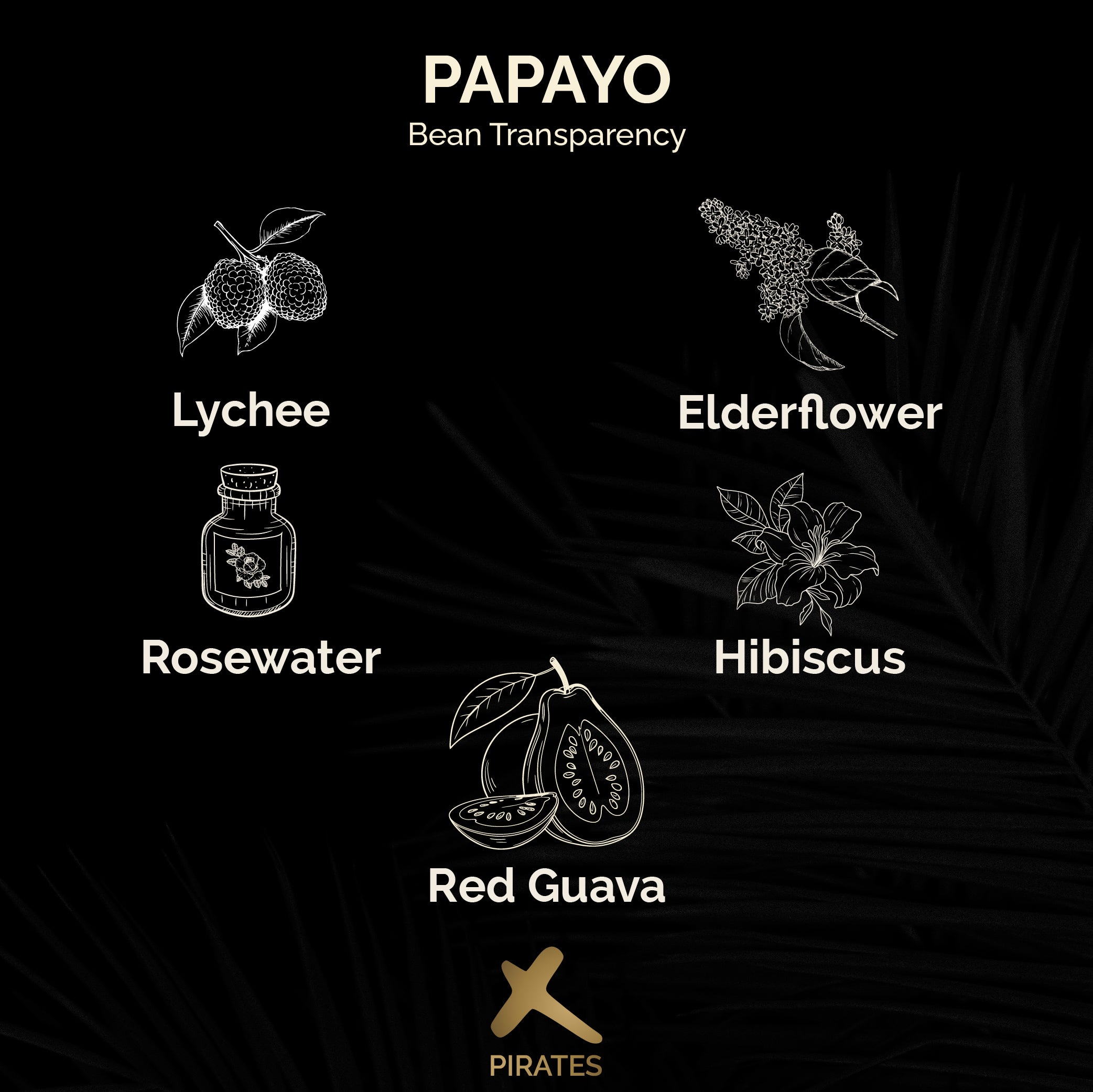 PAPAYO: Colombia El Paraiso 92 Washed Thermal Shock