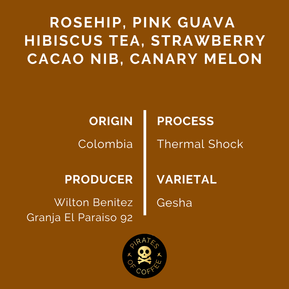 BOTANICA GESHA: El Paraiso 92 Thermal Shock