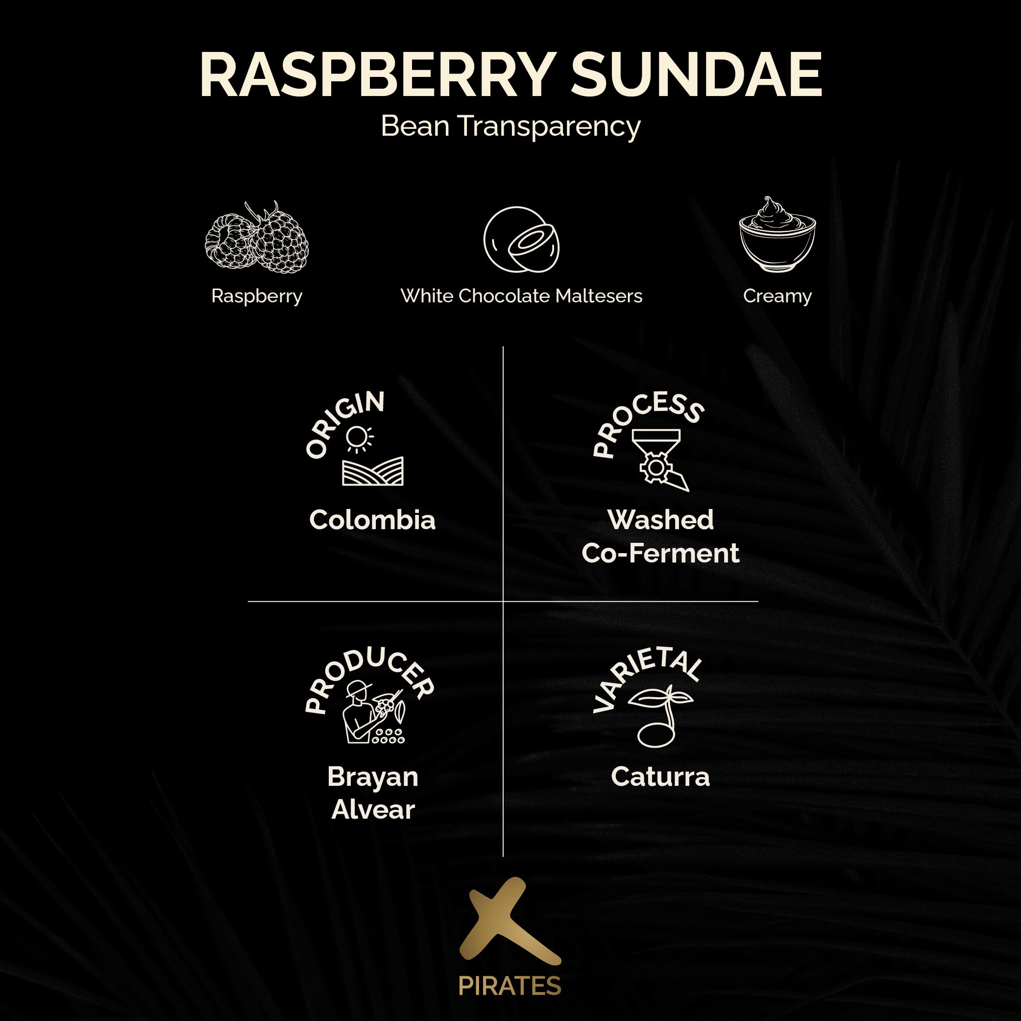 RASPBERRY SUNDAE: Colombia Co-Ferment Washed