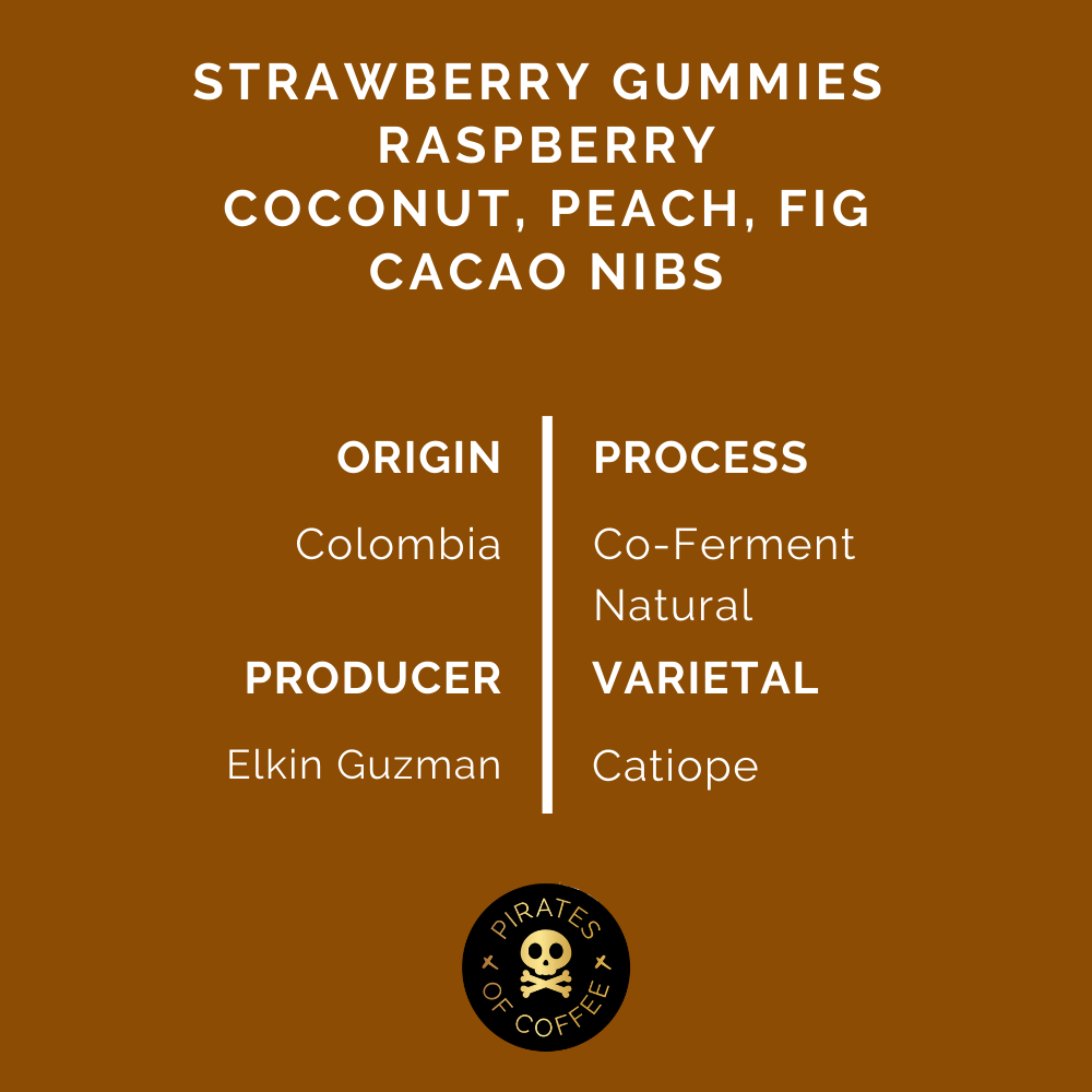 RAZZLEBERRY: Colombia Co-Ferment Natural