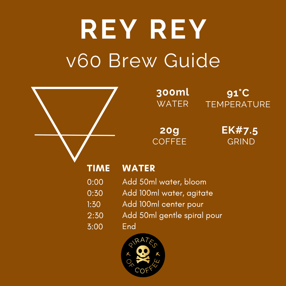 REY REY: Guatemala Anaerobic Bourbon Rey