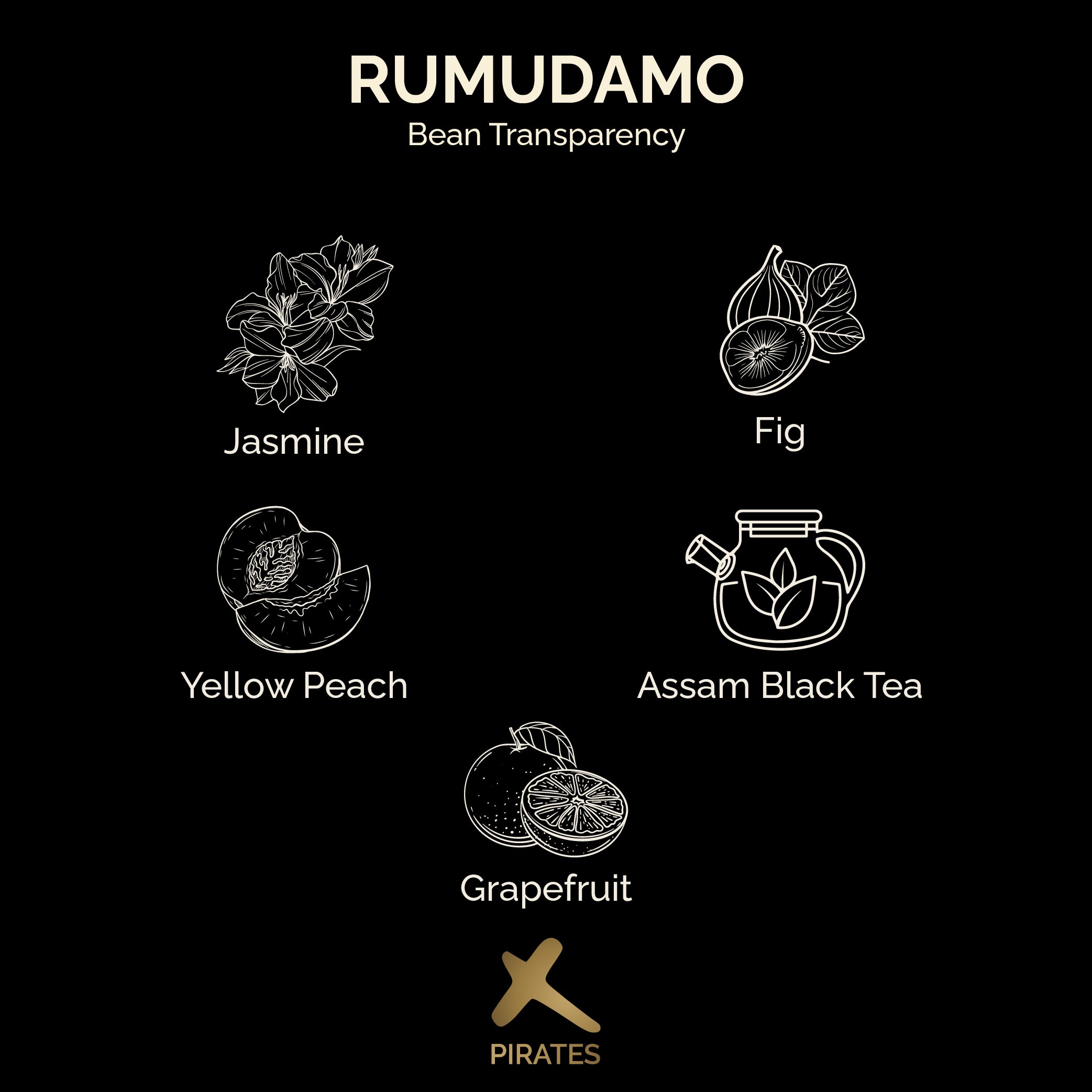 RUMUDAMO ANAEROBIC WASHED: Sidama Ethiopia