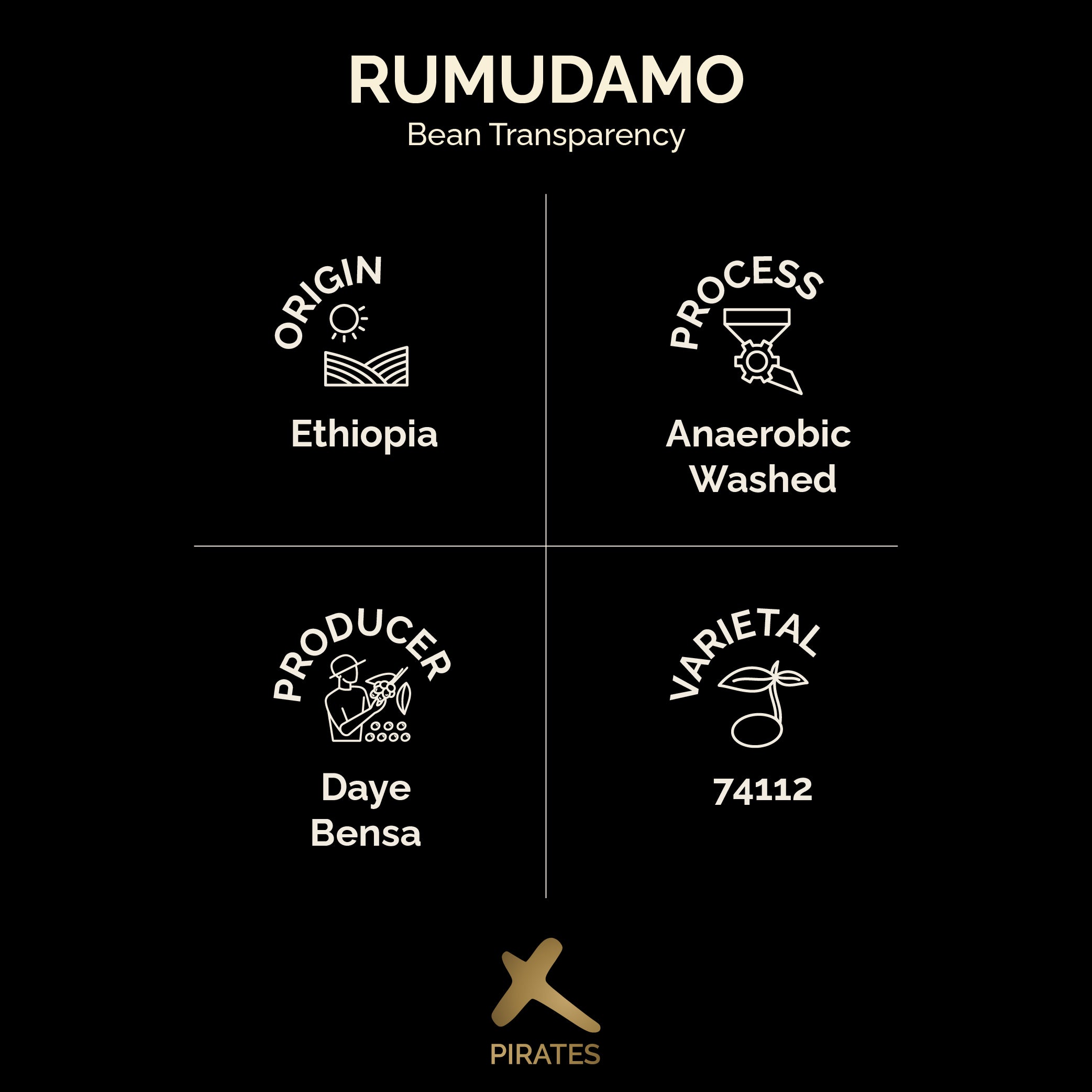 RUMUDAMO ANAEROBIC WASHED: Sidama Ethiopia