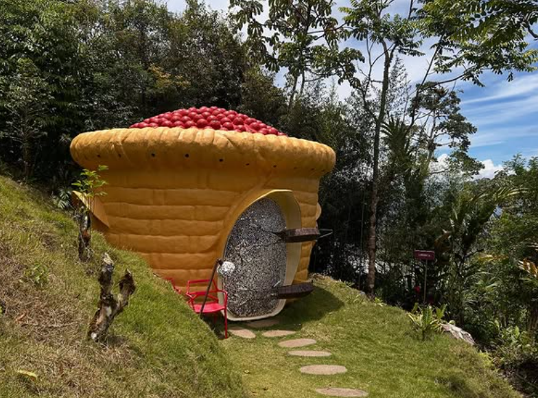 COSTA RICA GEISHA HONEY: Coffea Diversa Queen Geisha