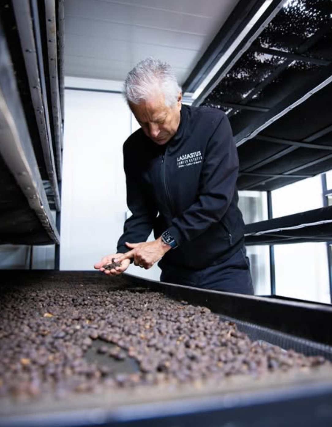 LAMASTUS GEISHA LOT #16: Panama El Burro Natural