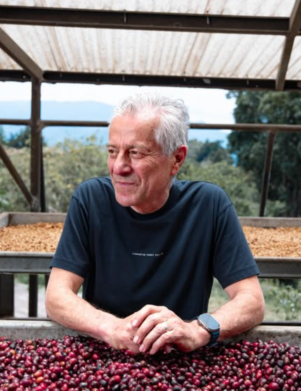 LAMASTUS ELIDA GEISHA: Panama Washed DRD