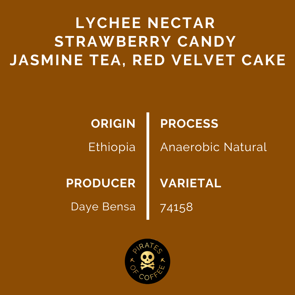 SHANTAWENE ANAEROBIC ESPRESSO: Ethiopia Anaerobic Natural