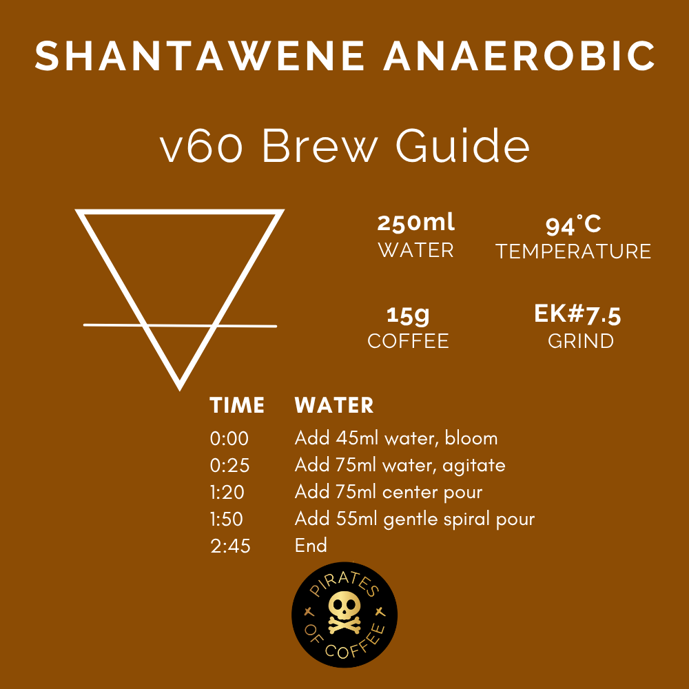 SHANTAWENE ANAEROBIC: Ethiopia Anaerobic Natural