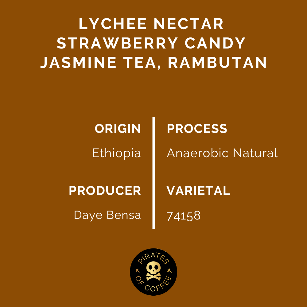 SHANTAWENE ANAEROBIC: Ethiopia Anaerobic Natural