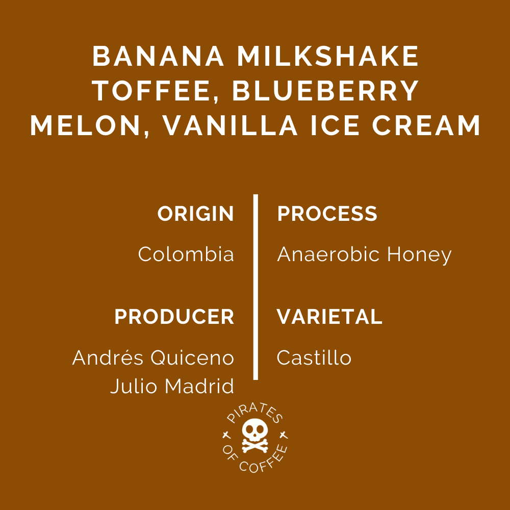 SMOOTHIE: Colombia Anaerobic Honey