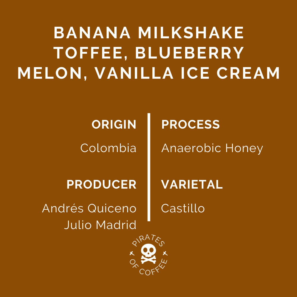 SMOOTHIE: Colombia Anaerobic Honey 2023