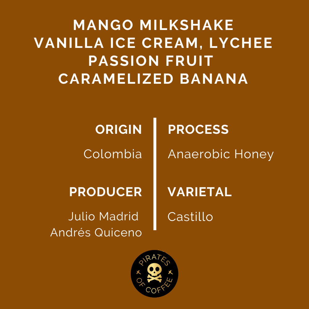 SMOOTHIE ESPRESSO: Colombia Anaerobic Honey