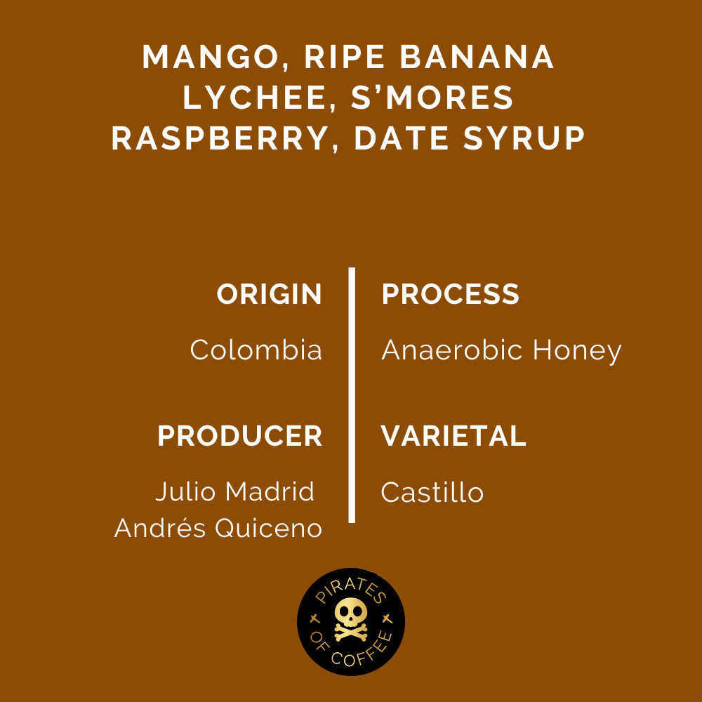 SMOOTHIE: Colombia Anaerobic Honey