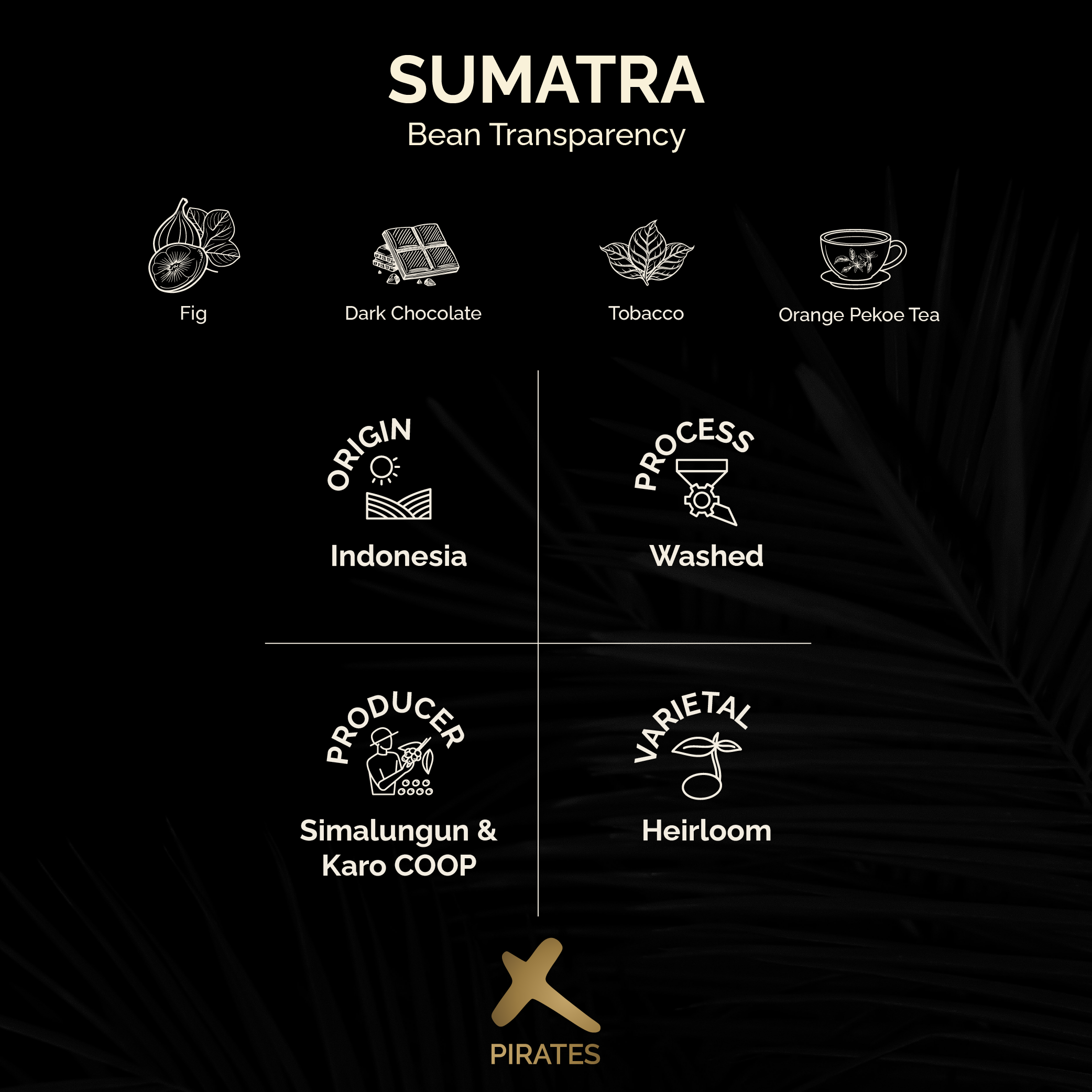 SUMATRA: Indonesia Washed