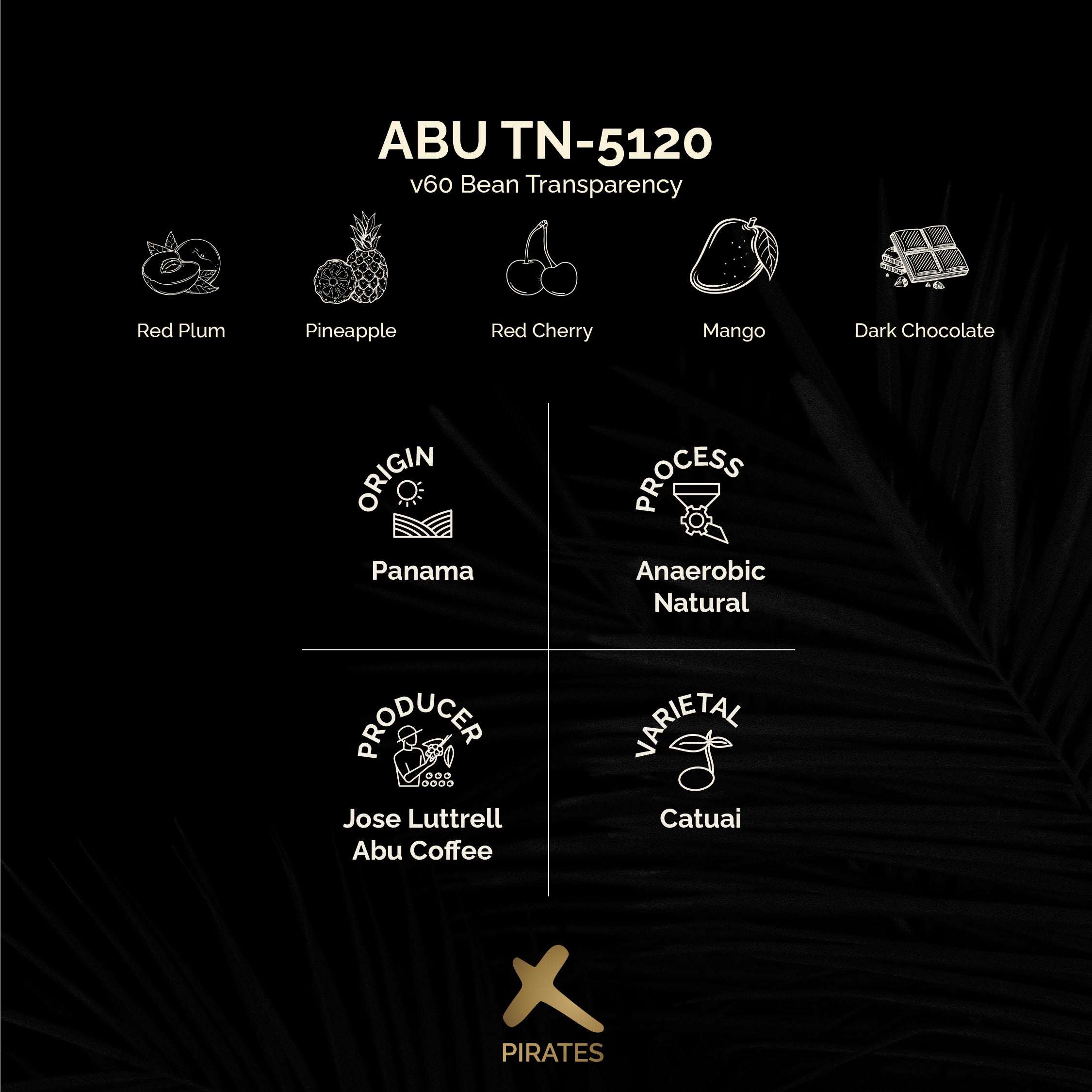 ABU TN-5120: Panama Anaerobic Natural