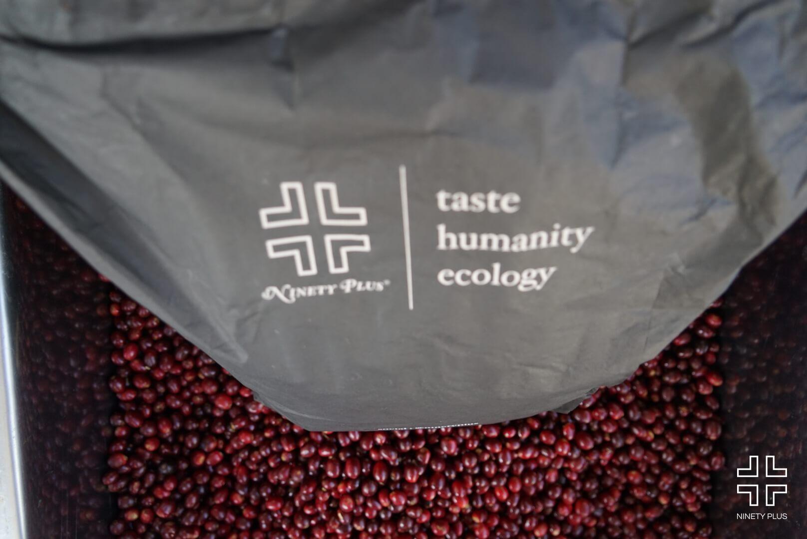 MAROON GEISHA 2.0: Ninety Plus Panama Thermolic