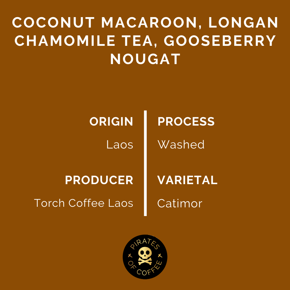 TREASURE OF LAOS: Nhot Ou Washed