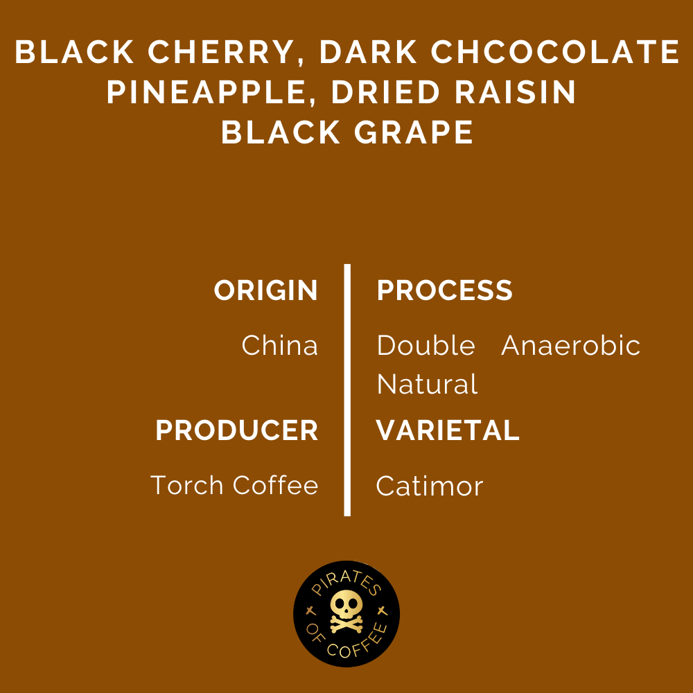 TREASURE OF CHINA ESPRESSO: Yunnan Double Anaerobic Natural