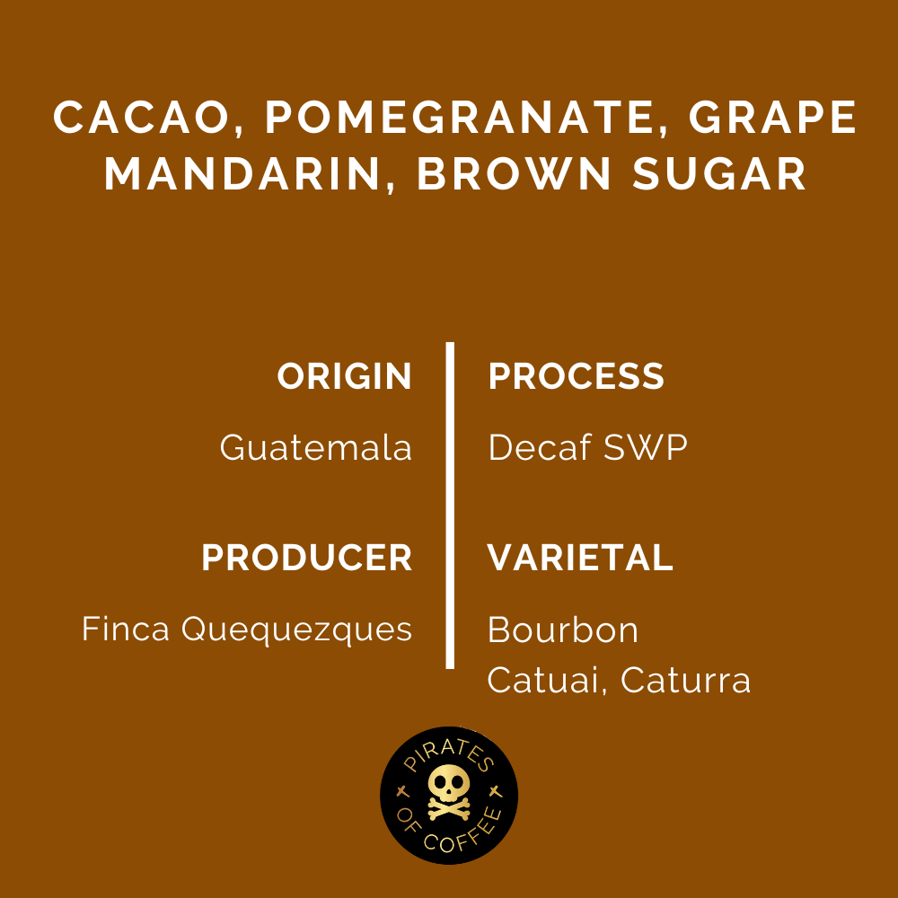 VINxO DECAF: Guatemala Washed Decaf