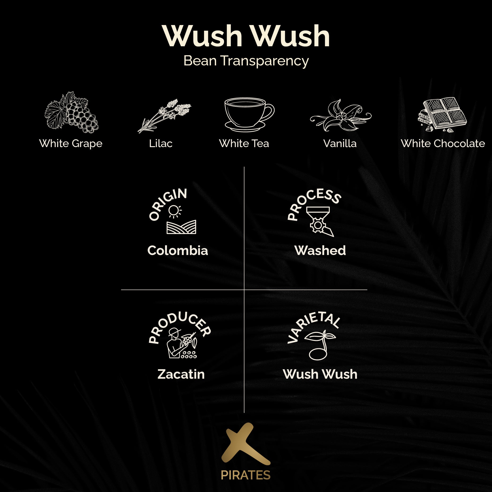 WUSH WUSH: Zacatin Colombia Washed