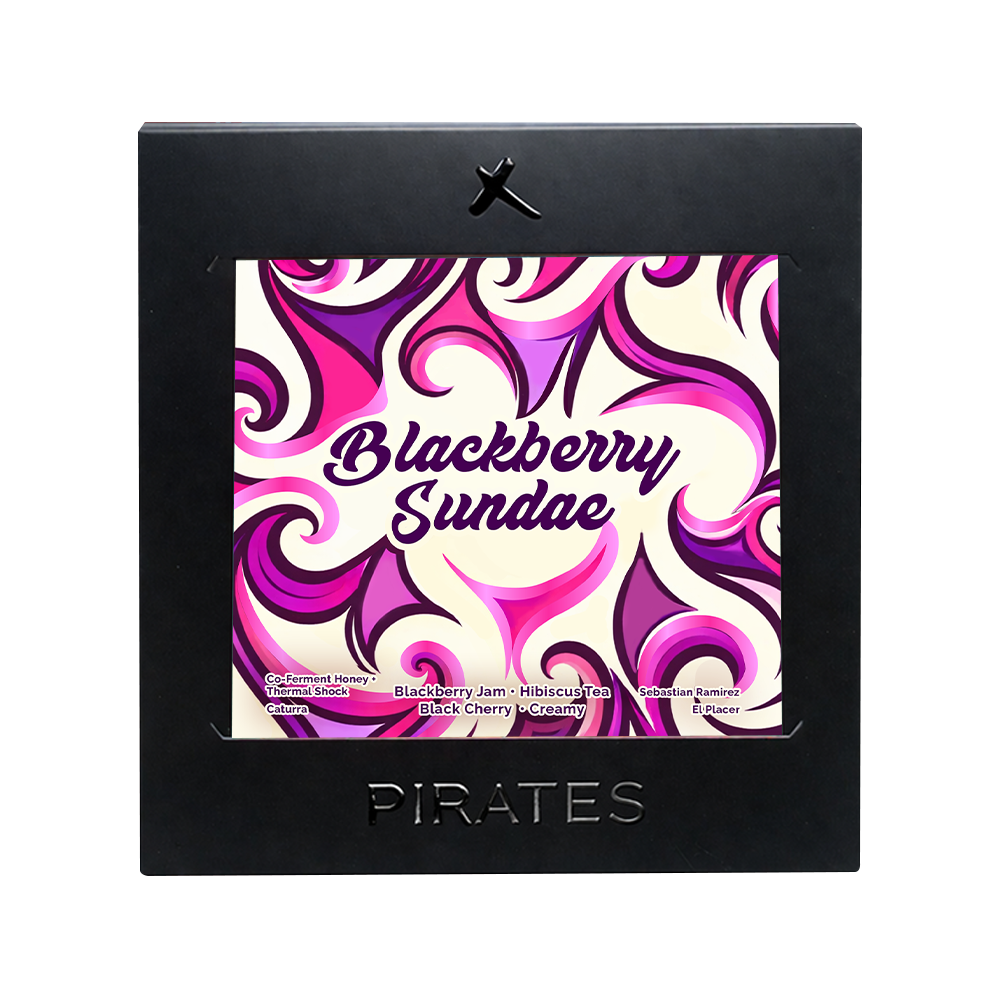 BLACKBERRY SUNDAE: Colombia Co-Ferment Honey + Thermal Shock