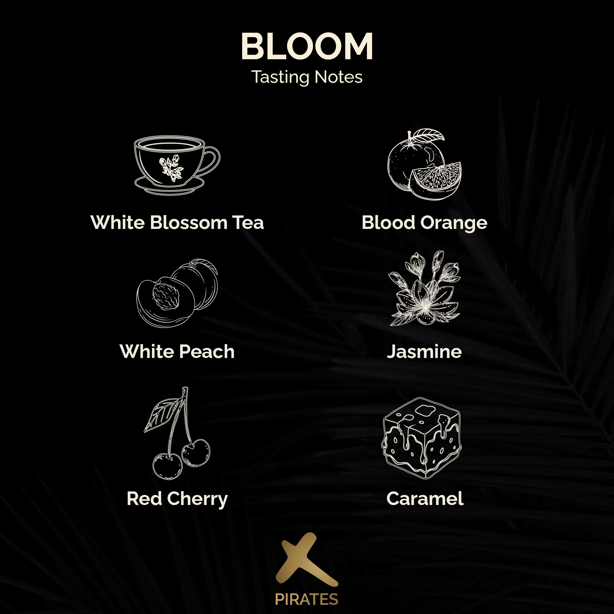 BLOOM: Ethiopia Yirgacheffe Washed