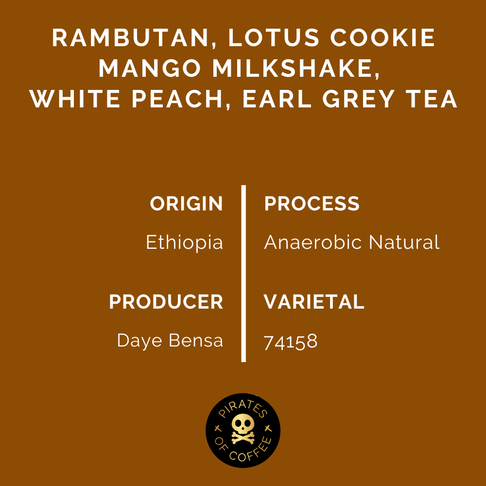 DAYE BENSA HAMASHO ANAEROBIC ESPRESSO: Ethiopia Anaerobic Natural