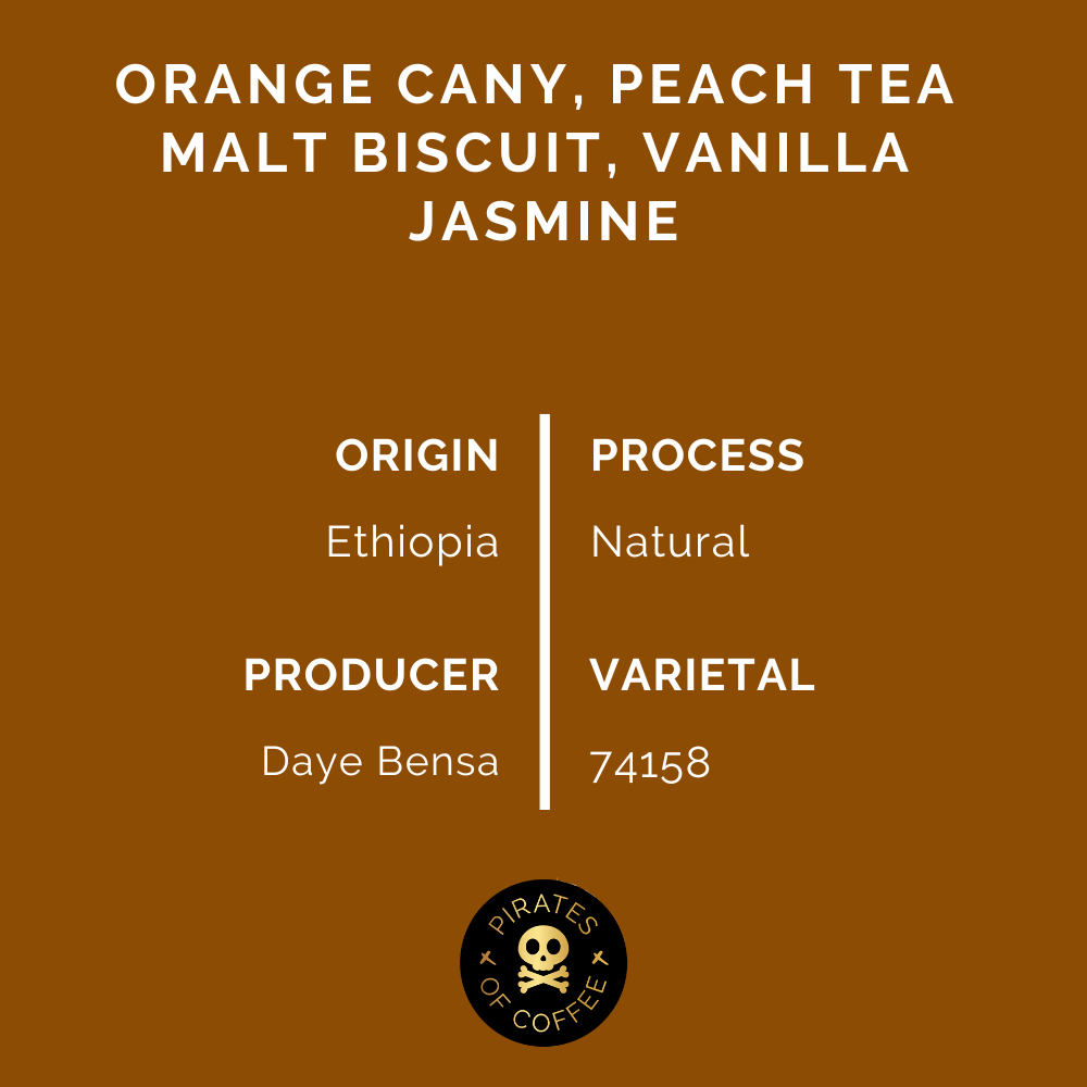 DAYE BENSA HAMASHO ESPRESSO: Ethiopia Natural