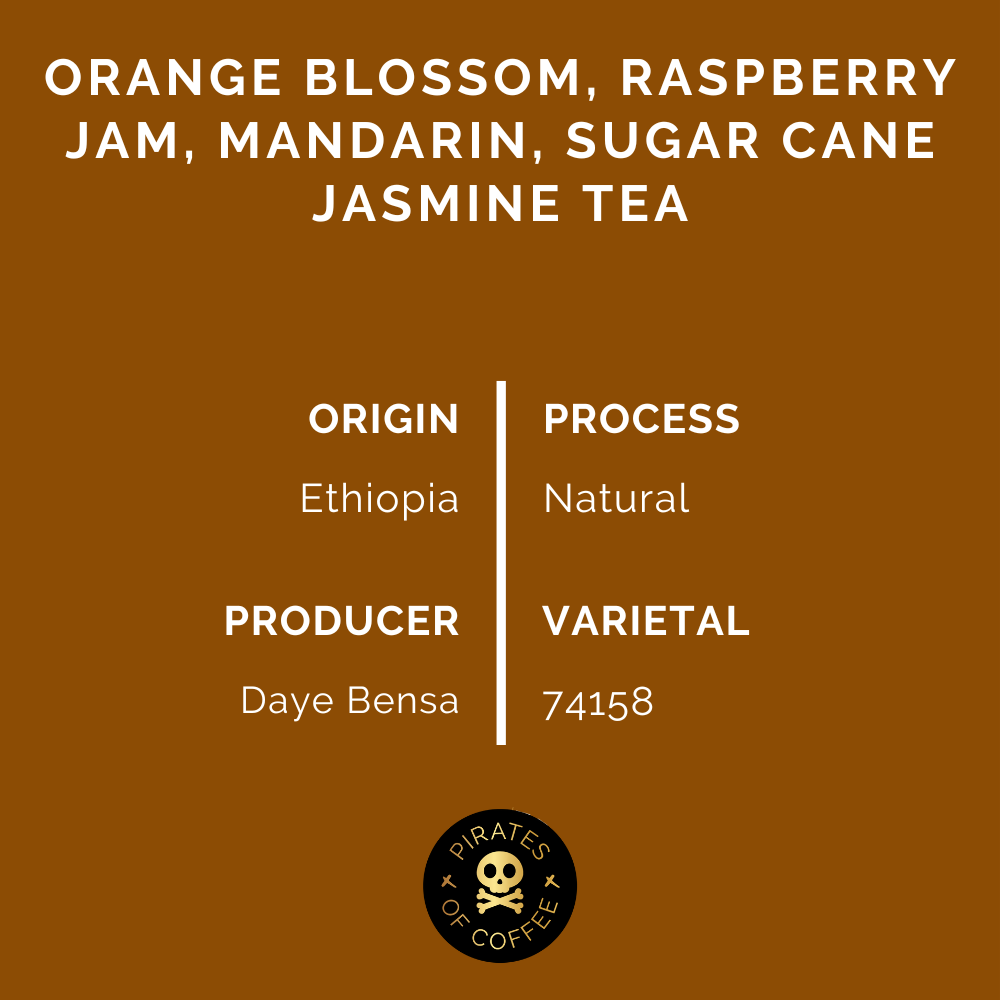 DAYE BENSA HAMASHO: Ethiopia Natural