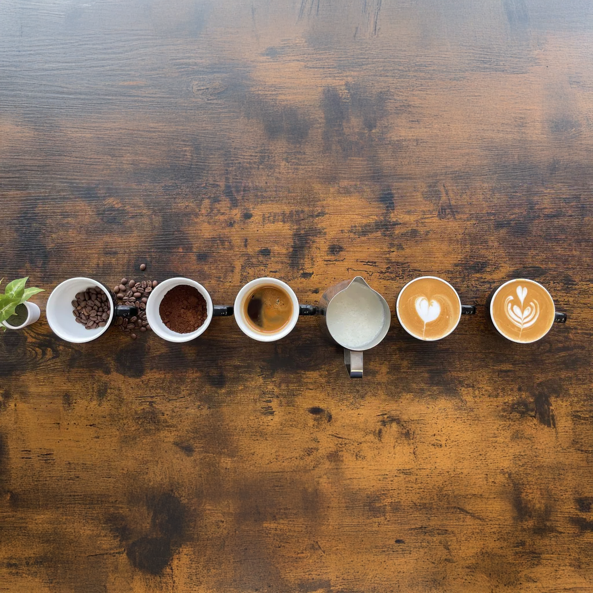 LATTE ART 101: Clean Pours and Consistent Results