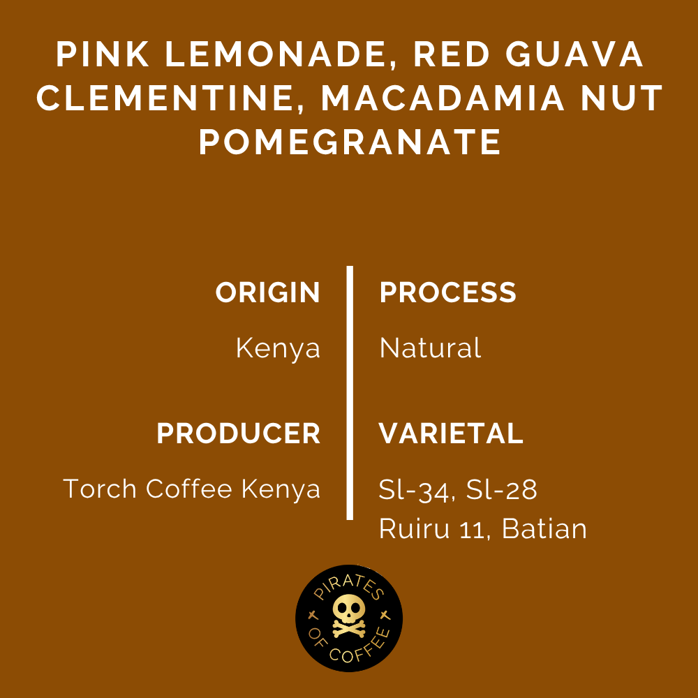 TREASURE OF KENYA ESPRESSO: Kagunyu Natural